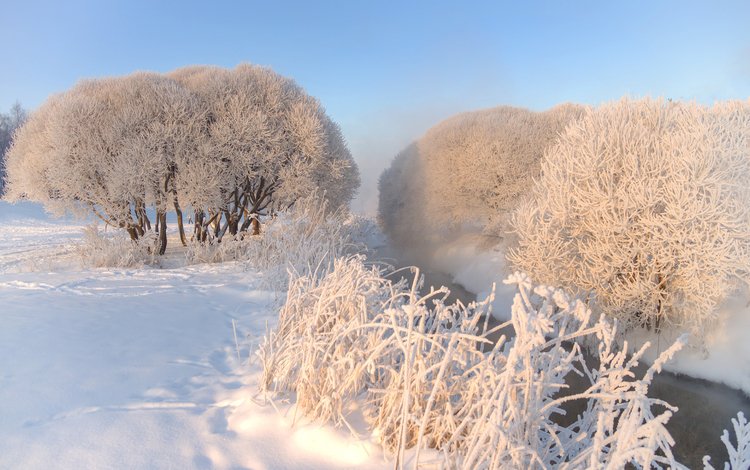 небо, деревья, снег, природа, зима, мороз, иней, эдуард гордеев, the sky, trees, snow, nature, winter, frost, eduard gordeev