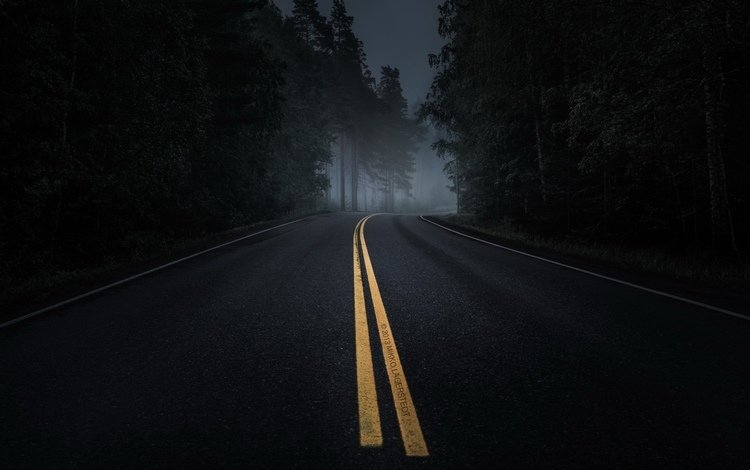 дорога, ночь, лес, road, night, forest