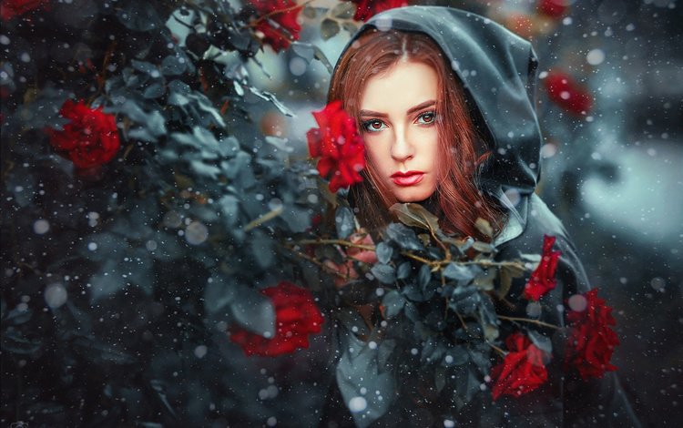 снег, девушка, розы, взгляд, модель, капюшон, рыжеволосая, ольга бойко, snow, girl, roses, look, model, hood, redhead, olga boyko
