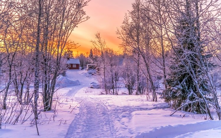 дорога, деревья, снег, закат, зима, пейзаж, домик, красива, road, trees, snow, sunset, winter, landscape, house, beautiful