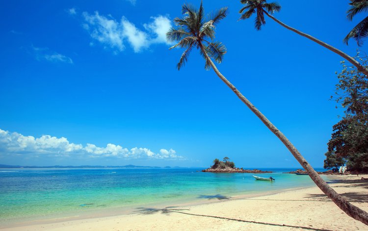 море, песок, пляж, пальмы, отдых, остров, тропики, sea, sand, beach, palm trees, stay, island, tropics