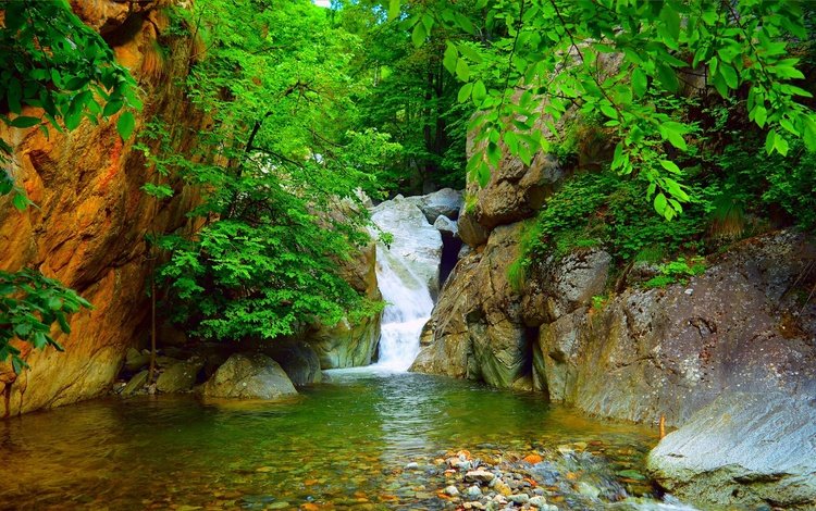 скалы, природа, ветки, водопад, поток, rocks, nature, branches, waterfall, stream