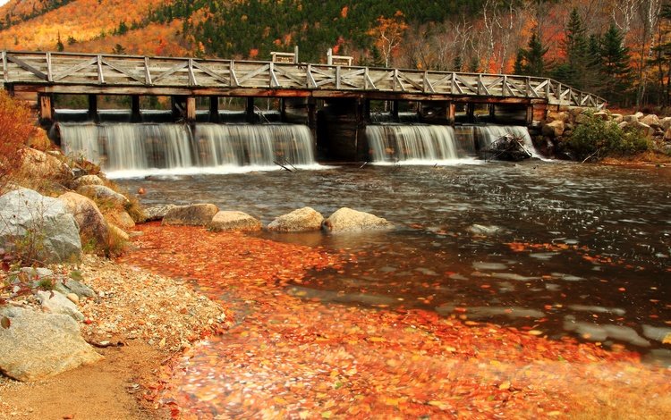 деревья, река, мост, осень, поток, trees, river, bridge, autumn, stream