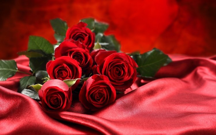 розы, ткань, букет, шелк,  цветы, красные розы, roses, fabric, bouquet, silk, flowers, red roses
