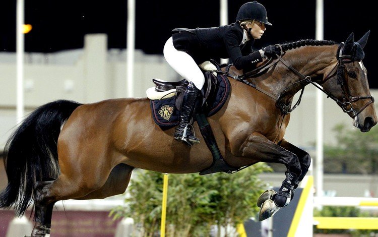 лошадь, всадник, спорт, конь, конный спорт, верховая езда, конкур, horse, rider, sport, horse riding, show jumping