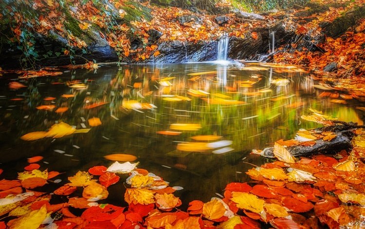 вода, листья, водопад, осень, поток, water, leaves, waterfall, autumn, stream