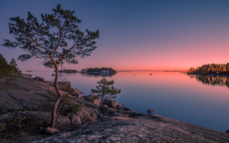 деревья, камни, закат, остров, финляндия, финский залив, trees, stones, sunset, island, finland, gulf of finland