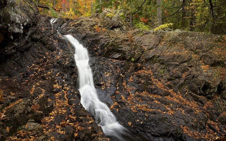 деревья, листья, скала, водопад, осень, поток, trees, leaves, rock, waterfall, autumn, stream
