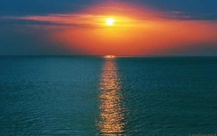 небо, солнце, закат, море, горизонт, яхта, the sky, the sun, sunset, sea, horizon, yacht