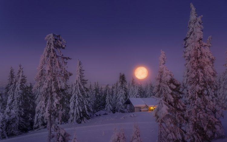 небо, свет, деревья, снег, лес, зима, луна, дом, the sky, light, trees, snow, forest, winter, the moon, house
