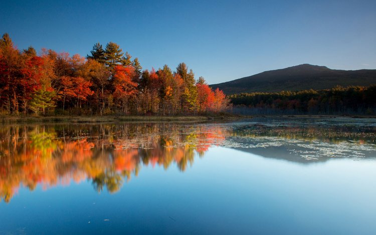 небо, деревья, озеро, горы, природа, отражение, осень, the sky, trees, lake, mountains, nature, reflection, autumn