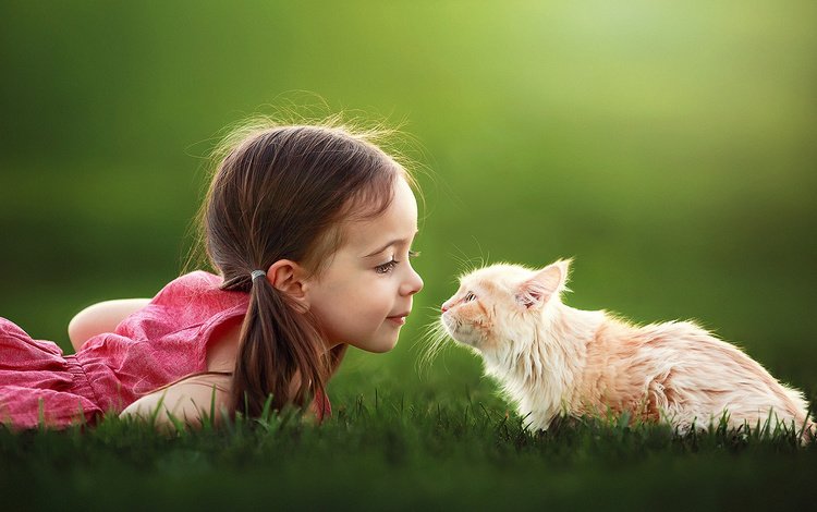 трава, настроение, кот, кошка, девочка, ребенок, suzy mead, grass, mood, cat, girl, child