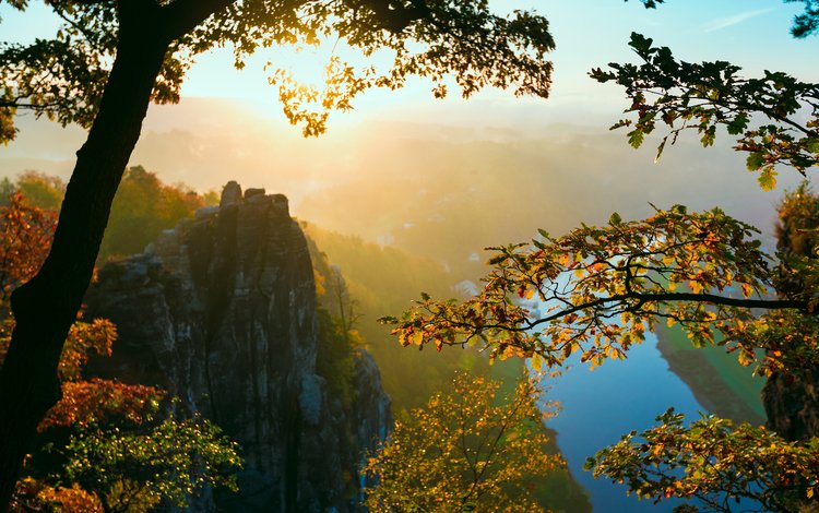 деревья, скалы, туман, ветки, осень, швейцария, долина, trees, rocks, fog, branches, autumn, switzerland, valley