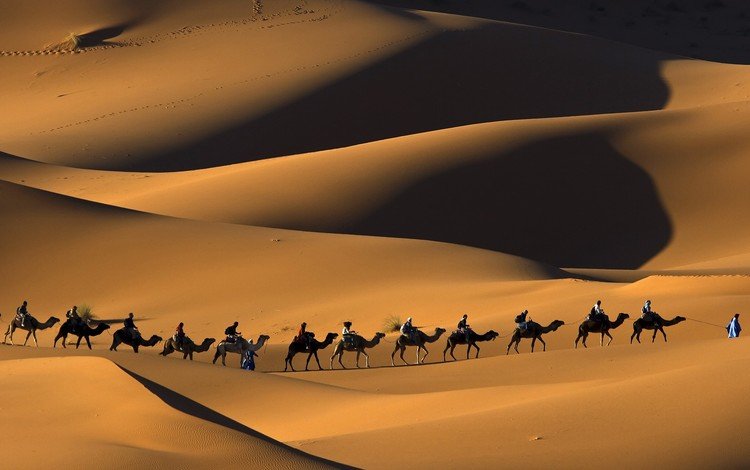песок, люди, пустыня, караван, верблюды, sand, people, desert, caravan, camels