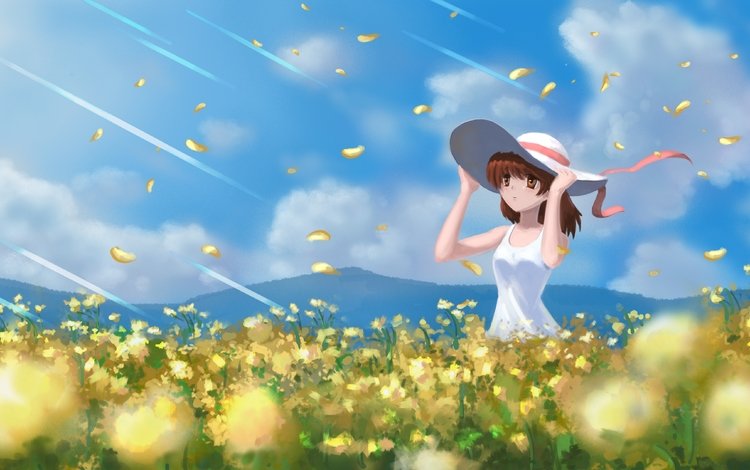 облака, поле, лепестки, шляпа, clannad, furukawa nagisa, clouds, field, petals, hat