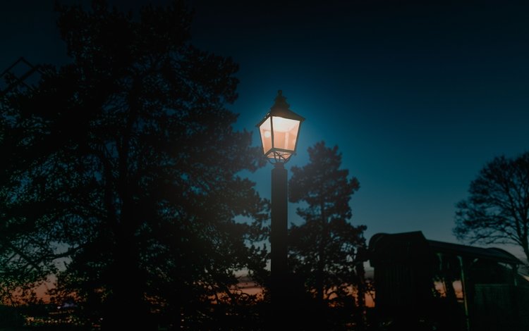 свет, ночь, деревья, улица, фонарь, столб, light, night, trees, street, lantern, post
