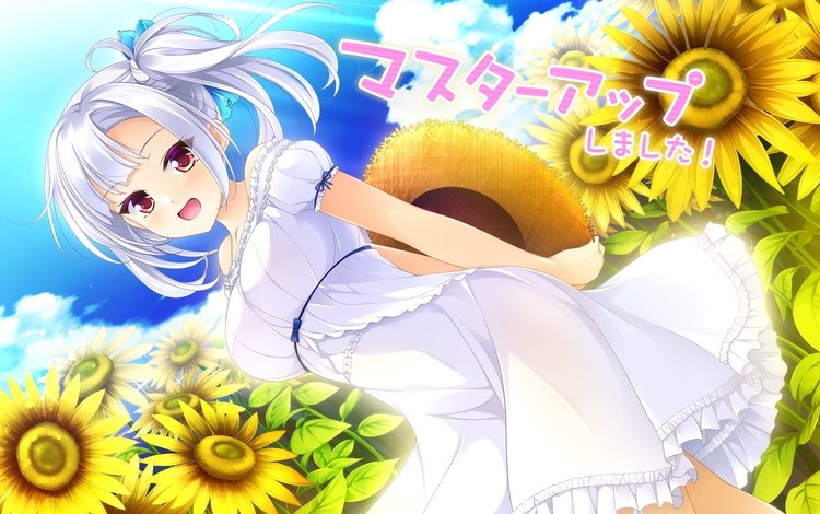 девушка, фон, взгляд, подсолнухи, белое платье, visual novel, мибу нацуки, ojou-sama wa sunao ni narenai, girl, background, look, sunflowers, white dress, mibu natsuki