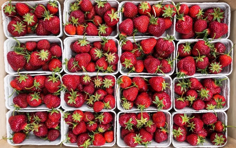 клубника, ягоды, много, коробки, спелая клубника, strawberry, berries, a lot, box, ripe strawberries
