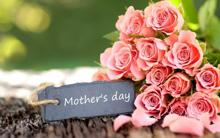 цветы, розы, букет, розовый, праздник, день матери, flowers, roses, bouquet, pink, holiday, mother's day