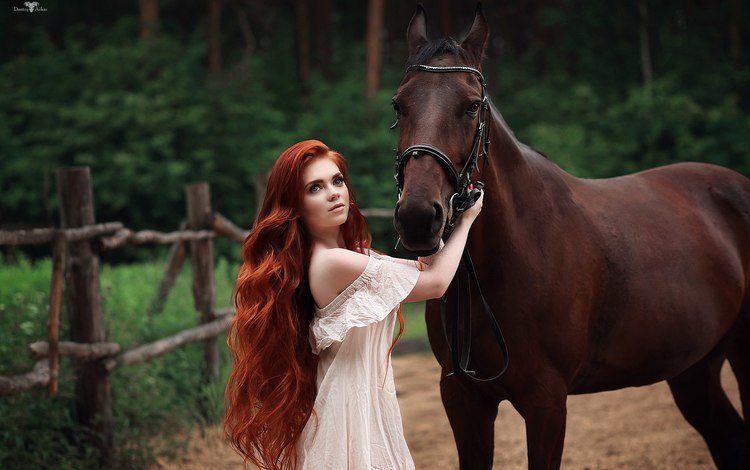 лошадь, dmitry arhar, девушка, платье, взгляд, лицо, длинные волосы, рыжеволосая, голые плечи, horse, girl, dress, look, face, long hair, redhead, bare shoulders