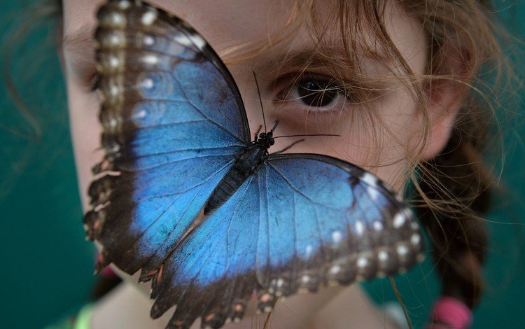 глаза, настроение, насекомое, взгляд, бабочка, крылья, девочка, лицо, eyes, mood, insect, look, butterfly, wings, girl, face