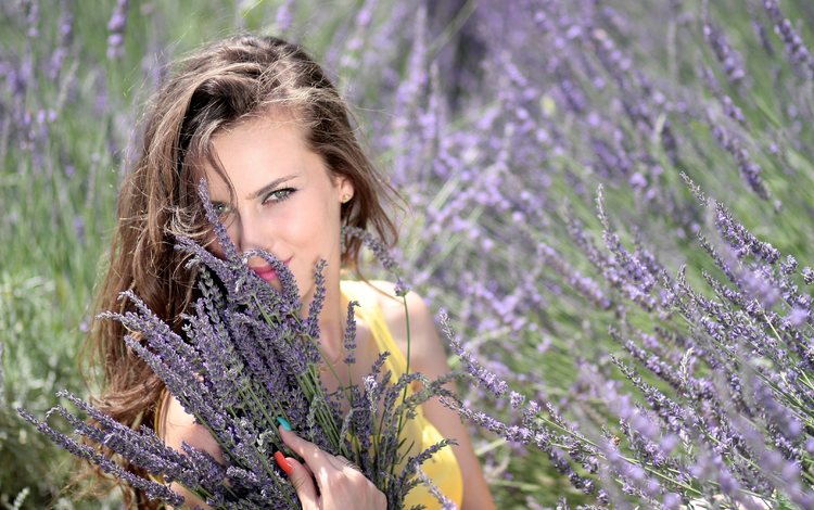 цветы, природа, девушка, лаванда, взгляд, волосы, лицо, flowers, nature, girl, lavender, look, hair, face
