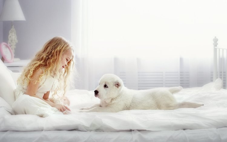 взгляд, собака, девочка, щенок, комната, животное, кровать, пес, look, dog, girl, puppy, room, animal, bed