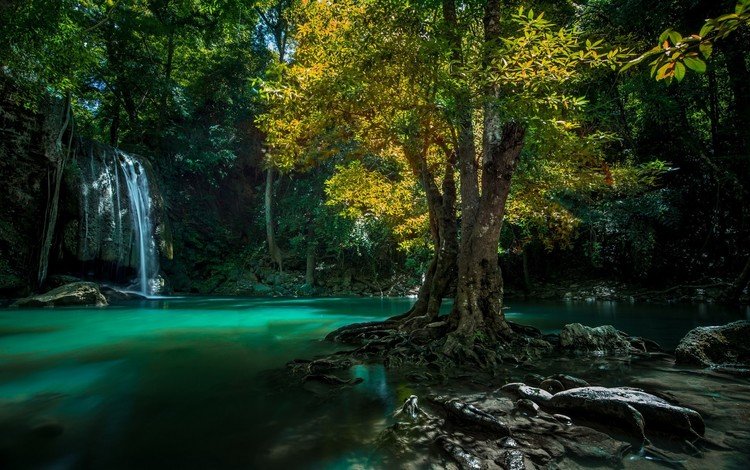 вода, тропики, природа, дерево, камни, лес, водопад, корни, таиланд, water, tropics, nature, tree, stones, forest, waterfall, roots, thailand