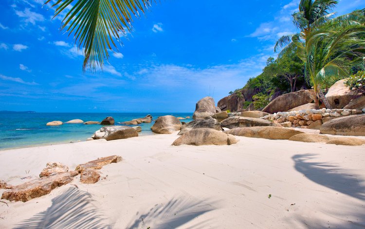 море, пляж, остров, тропики, сейшелы, sea, beach, island, tropics, seychelles