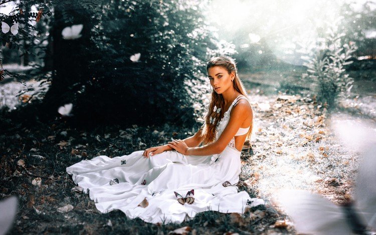 девушка, фон, поза, бабочки, белое платье, ronny garcia, butterfly charm, girl, background, pose, butterfly, white dress