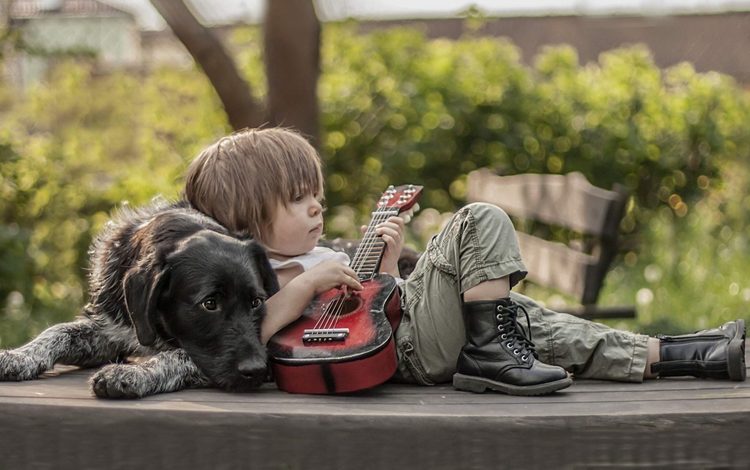 гитара, собака, мальчик, друзья, ботинки, guitar, dog, boy, friends, shoes