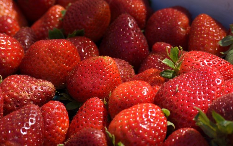 клубника, ягоды, спелые, сладкие, strawberry, berries, ripe, sweet
