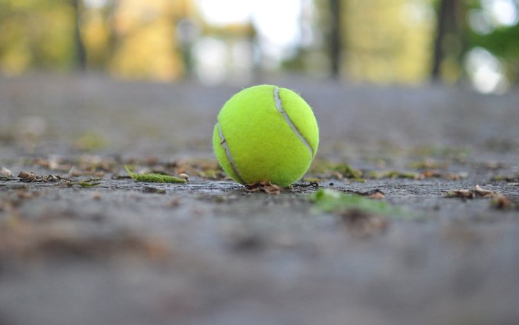 макро, мяч, теннис, теннисный мяч, macro, the ball, tennis, tennis ball