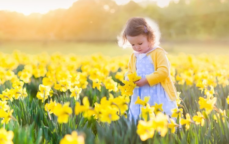 цветы, солнце, поле, девочка, ребенок, нарциссы, flowers, the sun, field, girl, child, daffodils