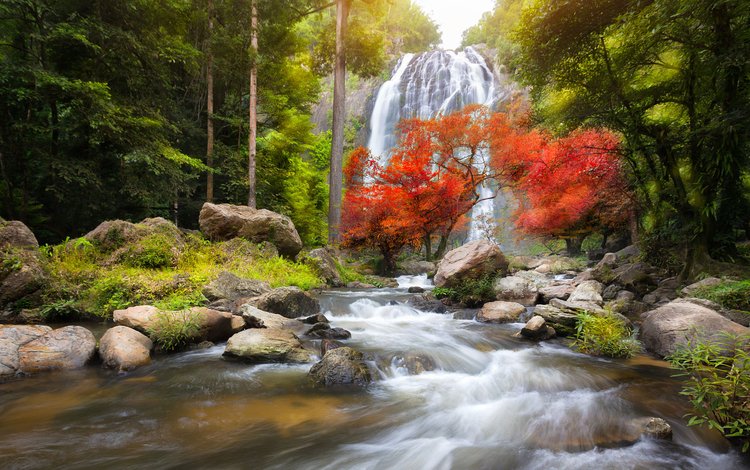 река, природа, лес, водопад, осень, поток, таиланд, patrick foto, канчанабури, kanchanaburi, river, nature, forest, waterfall, autumn, stream, thailand