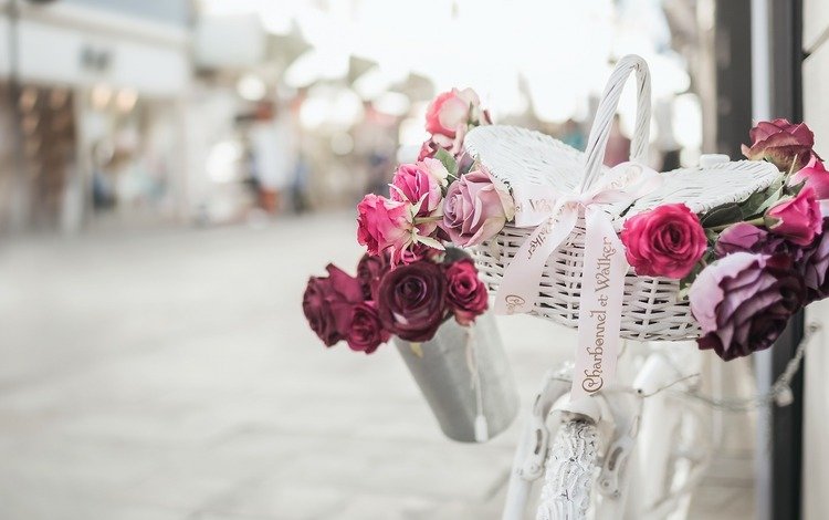 цветы, розы, улица, велосипед, flowers, roses, street, bike
