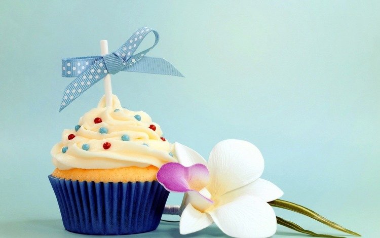 бант, кулич, кекс, цветком, день рождение, bow, cake, cupcake, flower, birthday