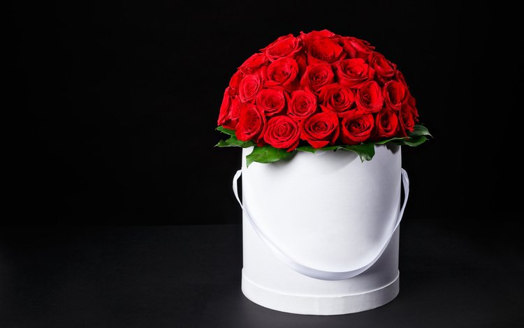 цветы, розы, букет, коробка, красные розы, flowers, roses, bouquet, box, red roses