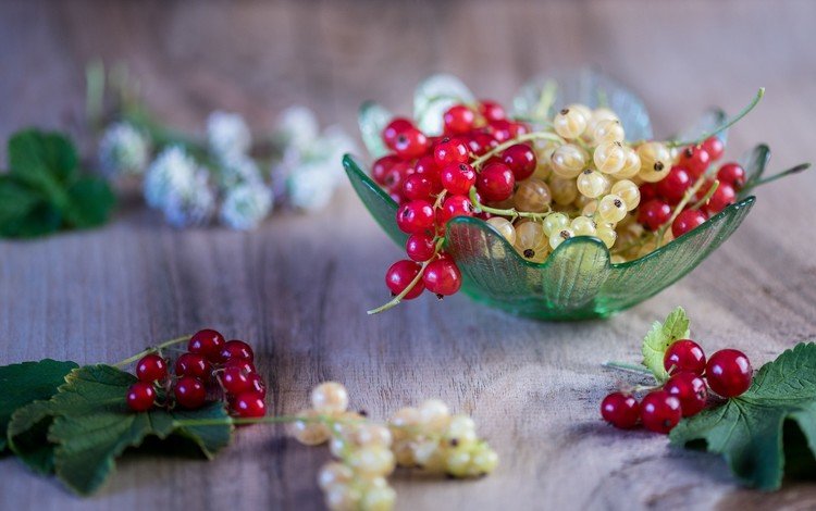 ягоды, листики, вкусно, смородина, спелые, веточки, berries, leaves, delicious, currants, ripe, twigs