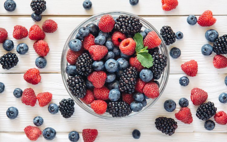 малина, ягоды, много, черника, ежевика, raspberry, berries, a lot, blueberries, blackberry