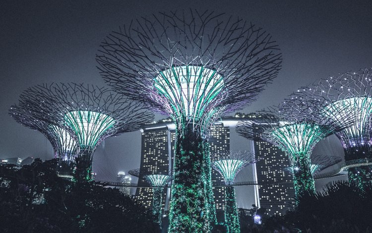 ночь, подсветка, архитектура, сингапур, night, backlight, architecture, singapore