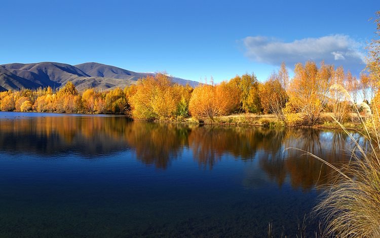 небо, вода, озеро, осень, ивы, the sky, water, lake, autumn, willow