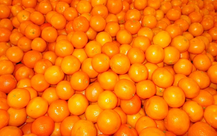фрукты, мандарины, цитрусы, fruit, tangerines, citrus