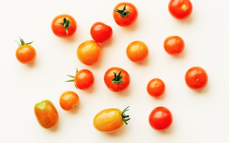 белый фон, овощи, помидоры, томаты, черри, white background, vegetables, tomatoes, cherry