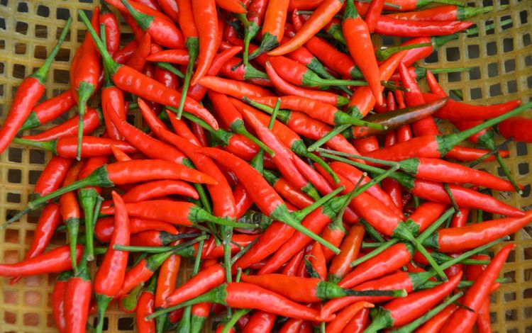 красный, овощи, чили, перец, жгучий, перец чили, red, vegetables, chile, pepper, burning, chili