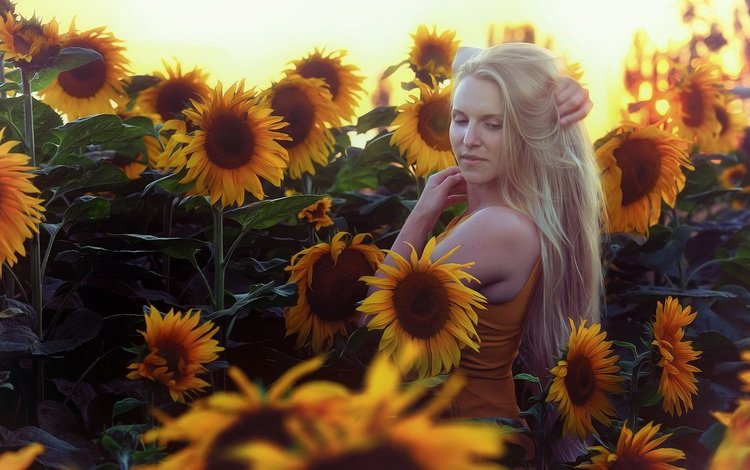 цветы, девушка, блондинка, лето, подсолнухи, flowers, girl, blonde, summer, sunflowers