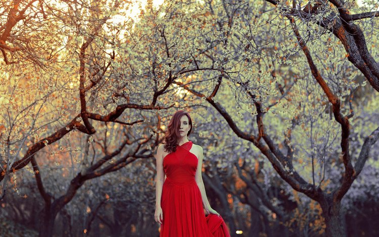 деревья, девушка, взгляд, осень, волосы, лицо, красное платье, trees, girl, look, autumn, hair, face, red dress