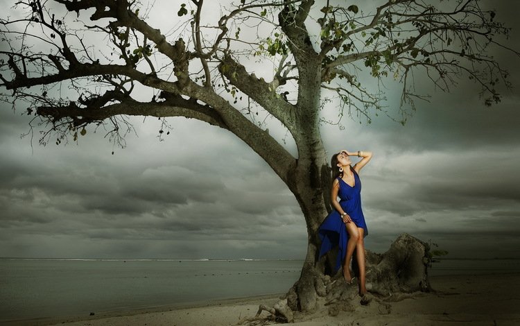 дерево, берег, девушка, море, пляж, модель, азиатка, синее платье, tree, shore, girl, sea, beach, model, asian, blue dress