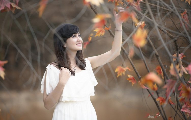 природа, листья, девушка, осень, азиатка, nature, leaves, girl, autumn, asian