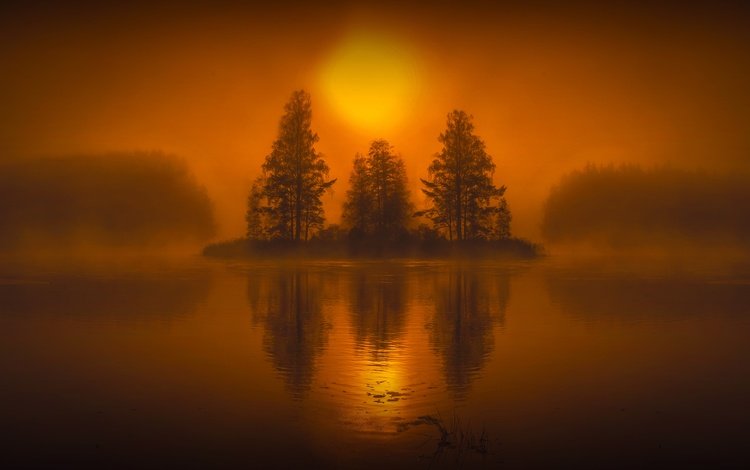 деревья, вода, озеро, закат, отражение, пейзаж, туман, hmetosche, trees, water, lake, sunset, reflection, landscape, fog